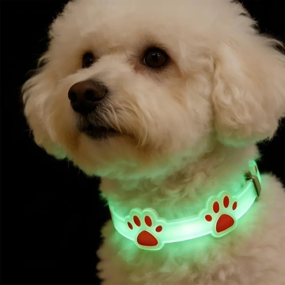 Silicone Luminous Cat Collar